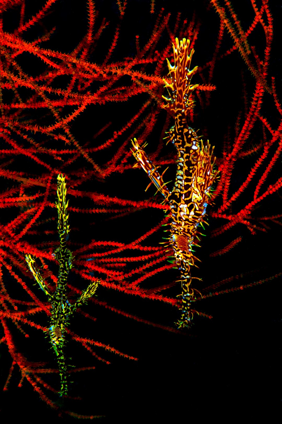 20170604_Masaplod_0007 (Large)