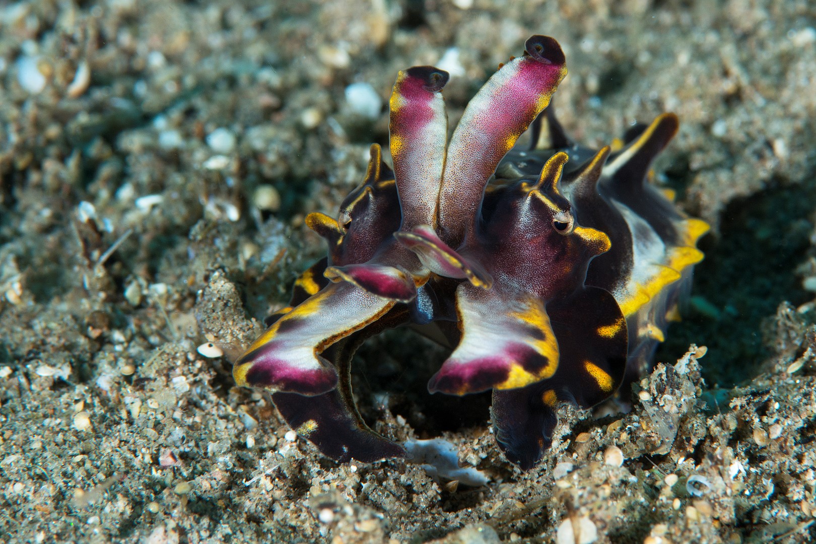 20170604_Masaplod_0012 (Large)