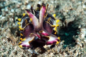 20170604_Masaplod_0014 (Large)