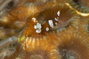 20170604_Masaplod_0030 (Large)