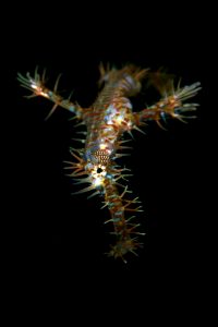 20170604_San Miguel_0020 (Large)