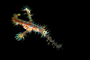 20170604_San Miguel_0024 (Large)