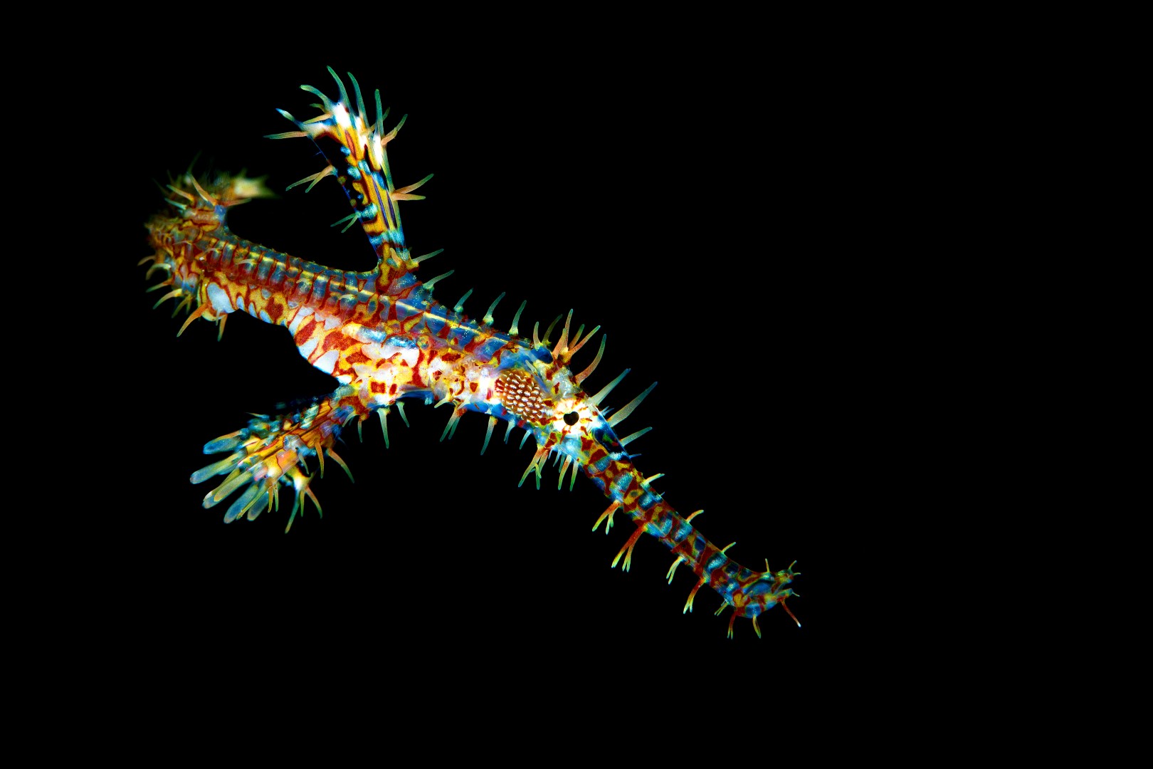 20170604_San Miguel_0024 (Large)