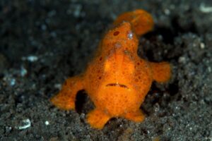 20170604_San Miguel_0040 (Large)