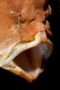 20170605_Ginama Point_0020 (Large)