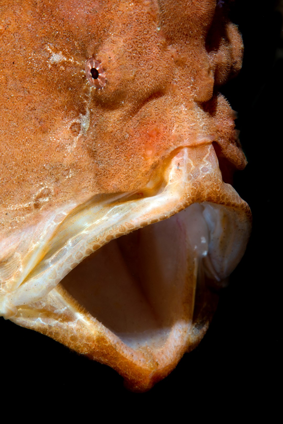 20170605_Ginama Point_0020 (Large)