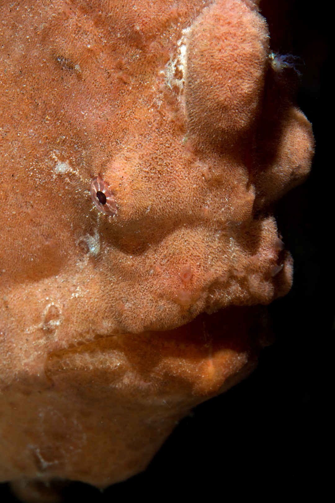 20170605_Ginama Point_0022 (Large)