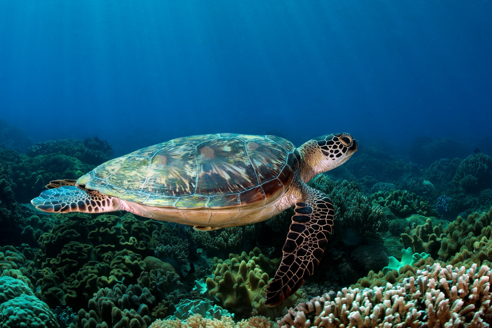 20170605_Rock Pile West_0002 (Large)