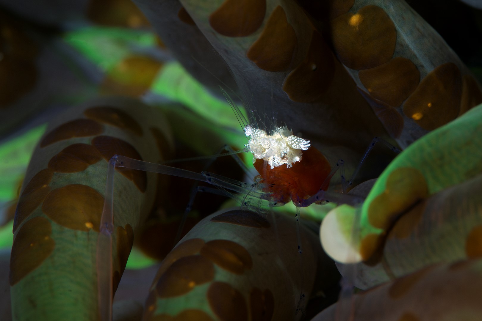 20170607_Lighthouse 2_0002 (Large)