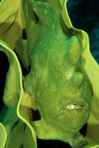 20170607_Lighthouse 2_0004 (Large)