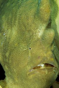 20170607_Lighthouse 2_0005 (Large)