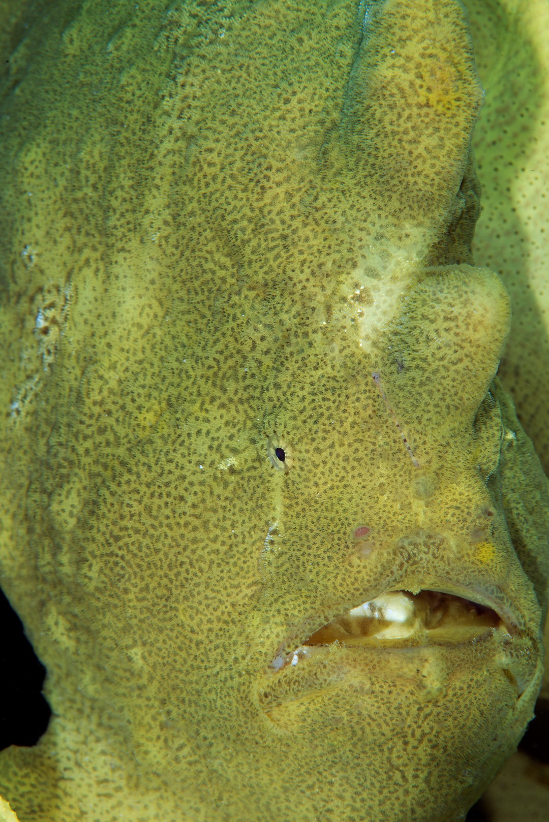 20170607_Lighthouse 2_0005 (Large)