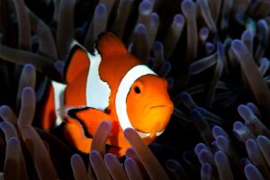 20170607_Lighthouse 2_0009 (Large)