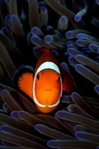 20170607_Lighthouse 2_0010 (Large)