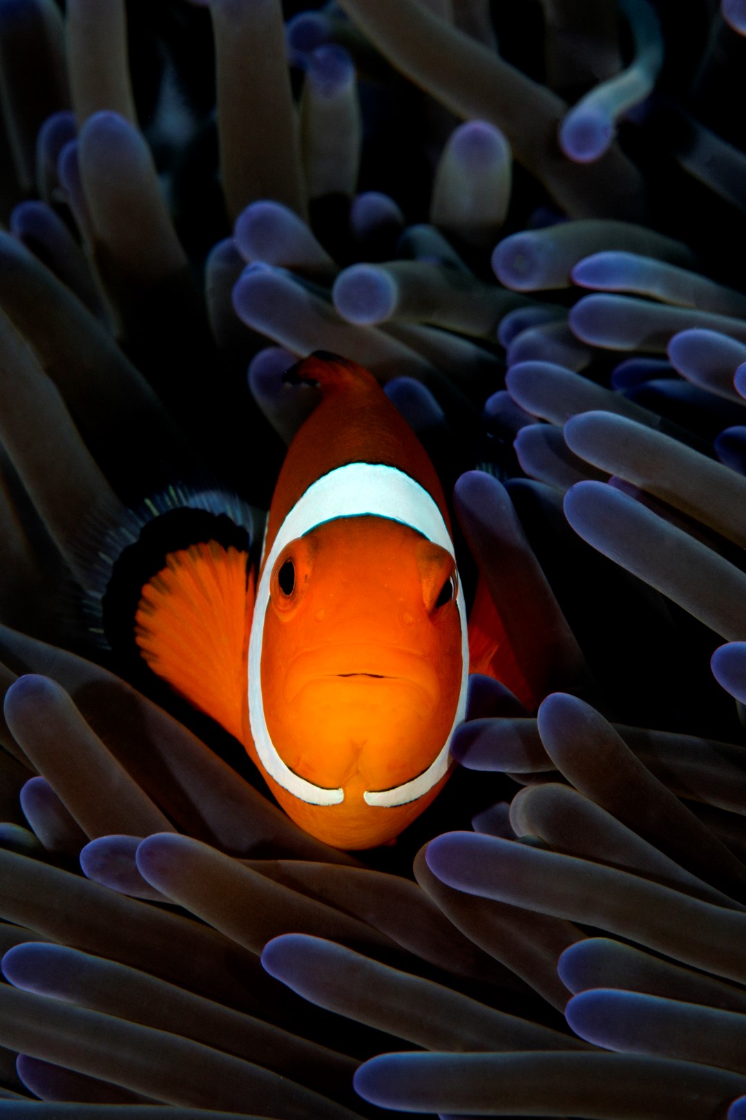 20170607_Lighthouse 2_0010 (Large)