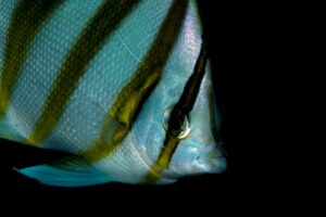 20170607_Lighthouse 2_0012 (Large)