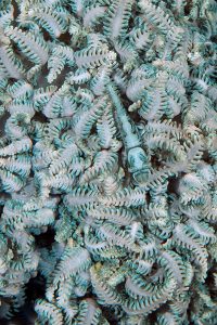 20170607_Lighthouse 2_0022 (Large)