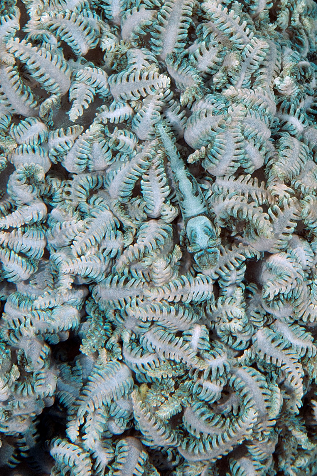 20170607_Lighthouse 2_0022 (Large)