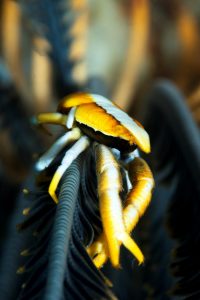 20170607_Pangangan Wall_0015 (Large)