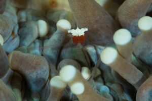 20170607_Pangangan Wall_0031 (Large)