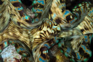 20170607_Pangangan Wall_0033 (Large)