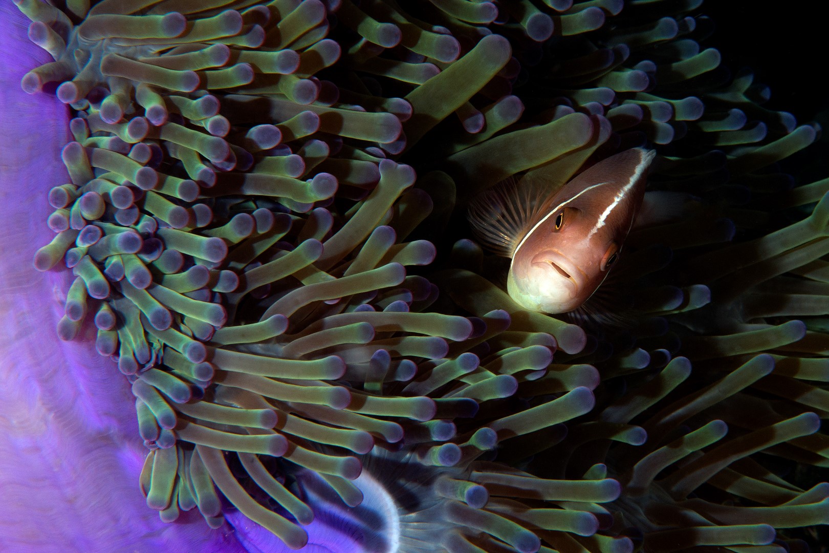 20170608_Lighthouse 1_0002 (Large)