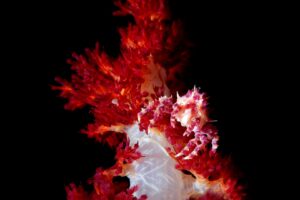 20170608_Lighthouse 1_0008 (Large)