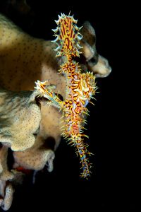 20170608_Lighthouse 1_0012 (Large)