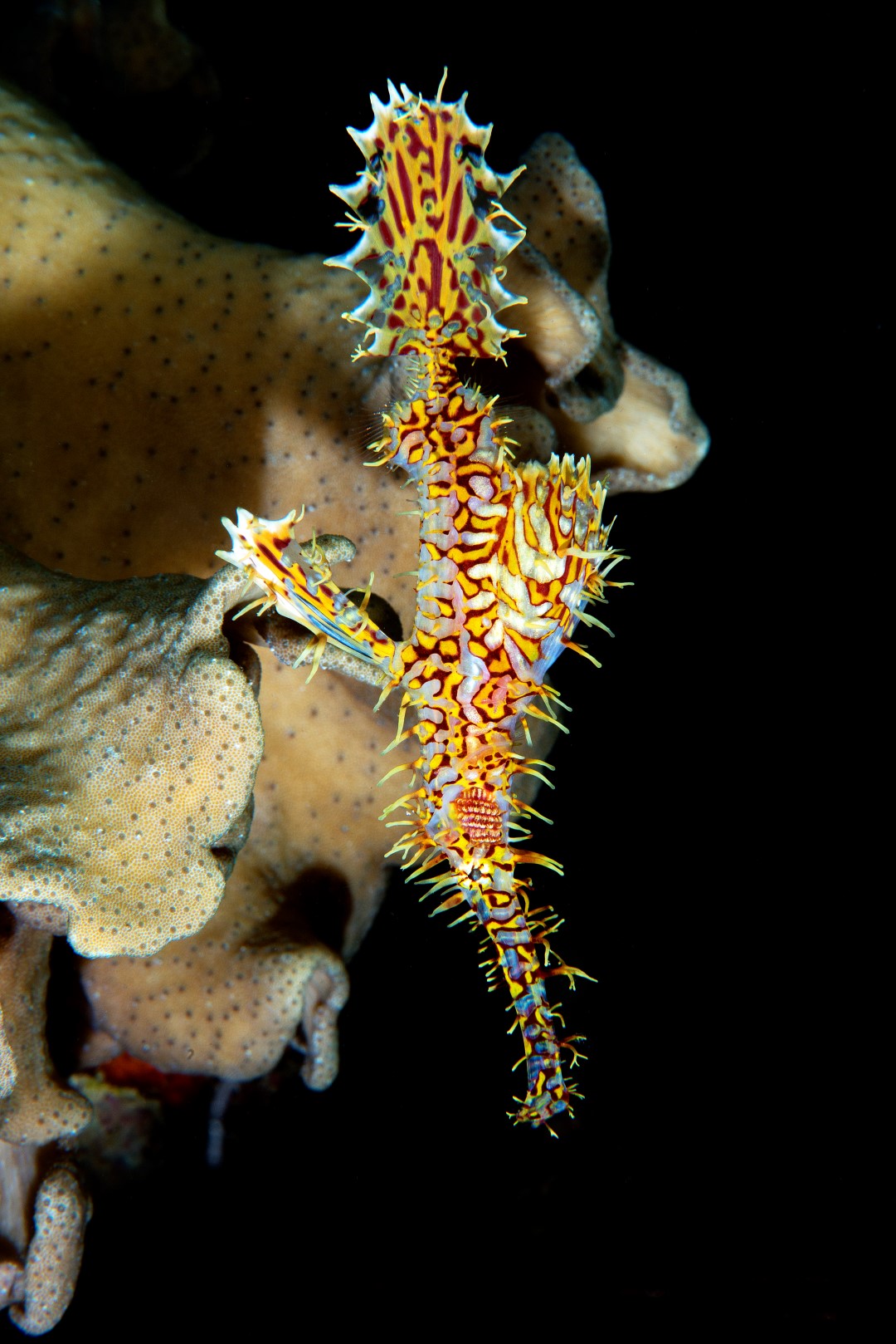 20170608_Lighthouse 1_0012 (Large)