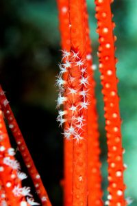 20170608_Lighthouse 1_0018 (Large)