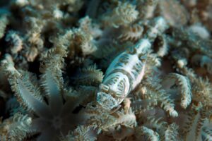 20170609_Current View_0018 (Large)