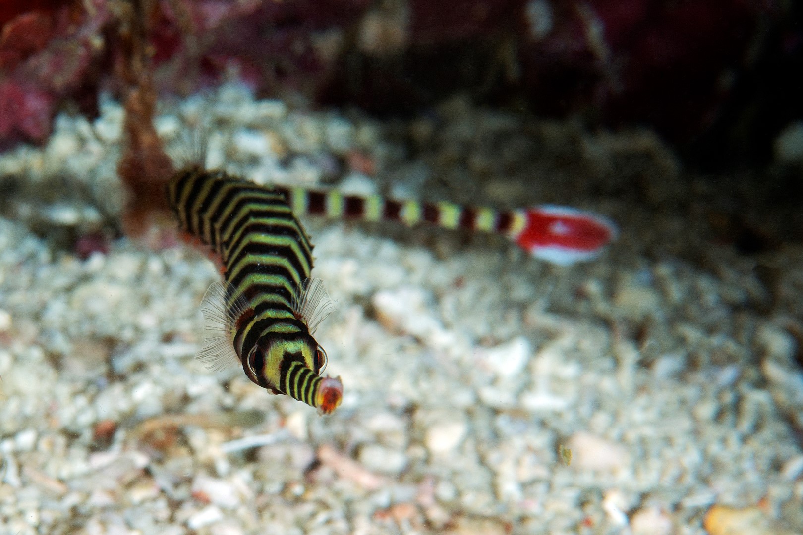 20170609_Current View_0023 (Large)