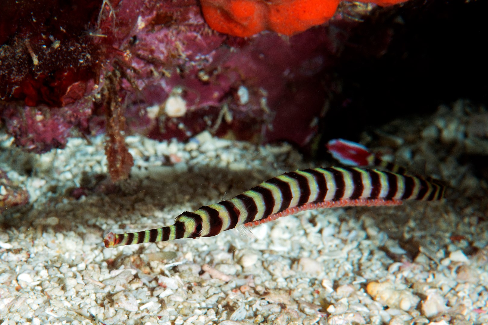 20170609_Current View_0029 (Large)