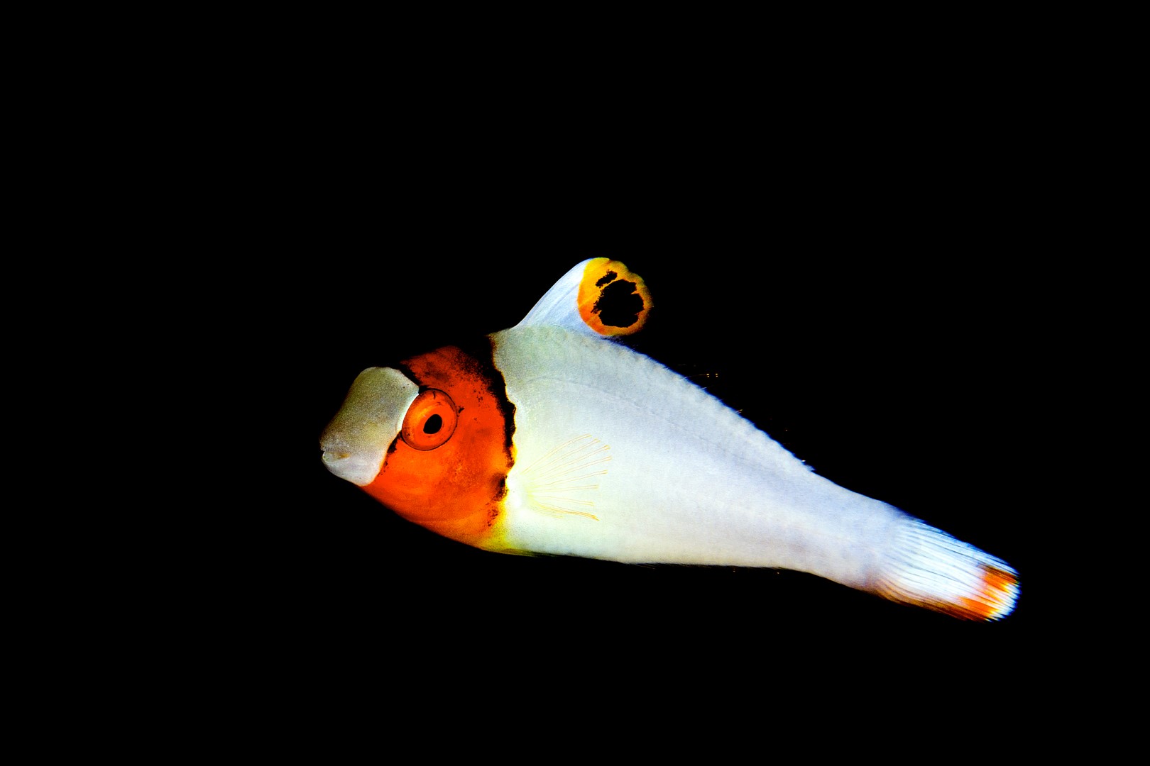 20170609_Current View_0034 (Large)