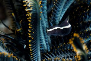 20170609_Current View_0046 (Large)