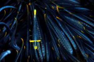 20170609_Current View_0048 (Large)