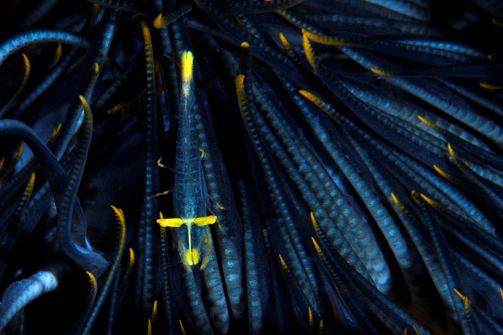 20170609_Current View_0048 (Large)