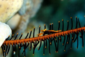 20170609_Current View_0050 (Large)