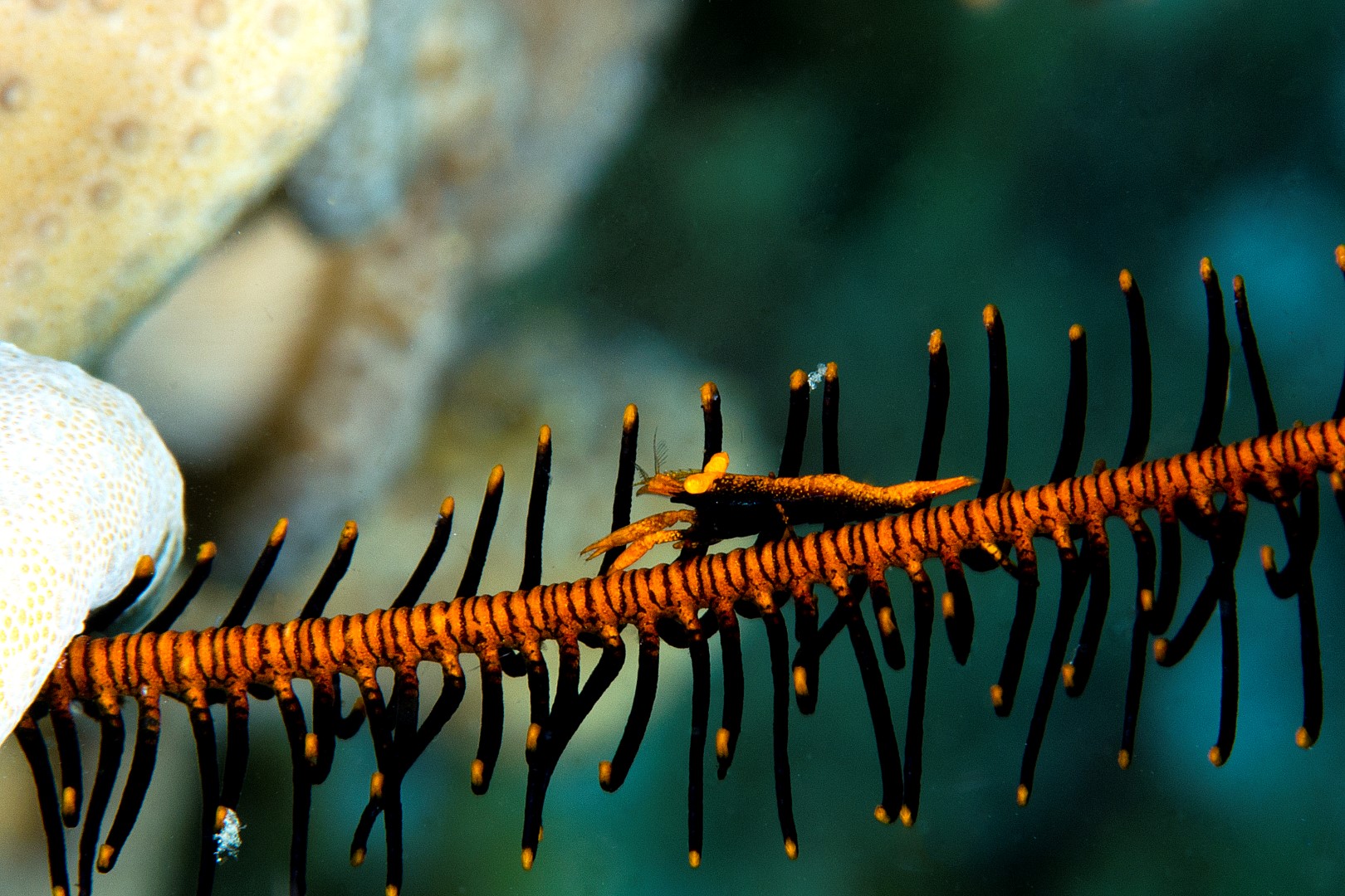 20170609_Current View_0050 (Large)