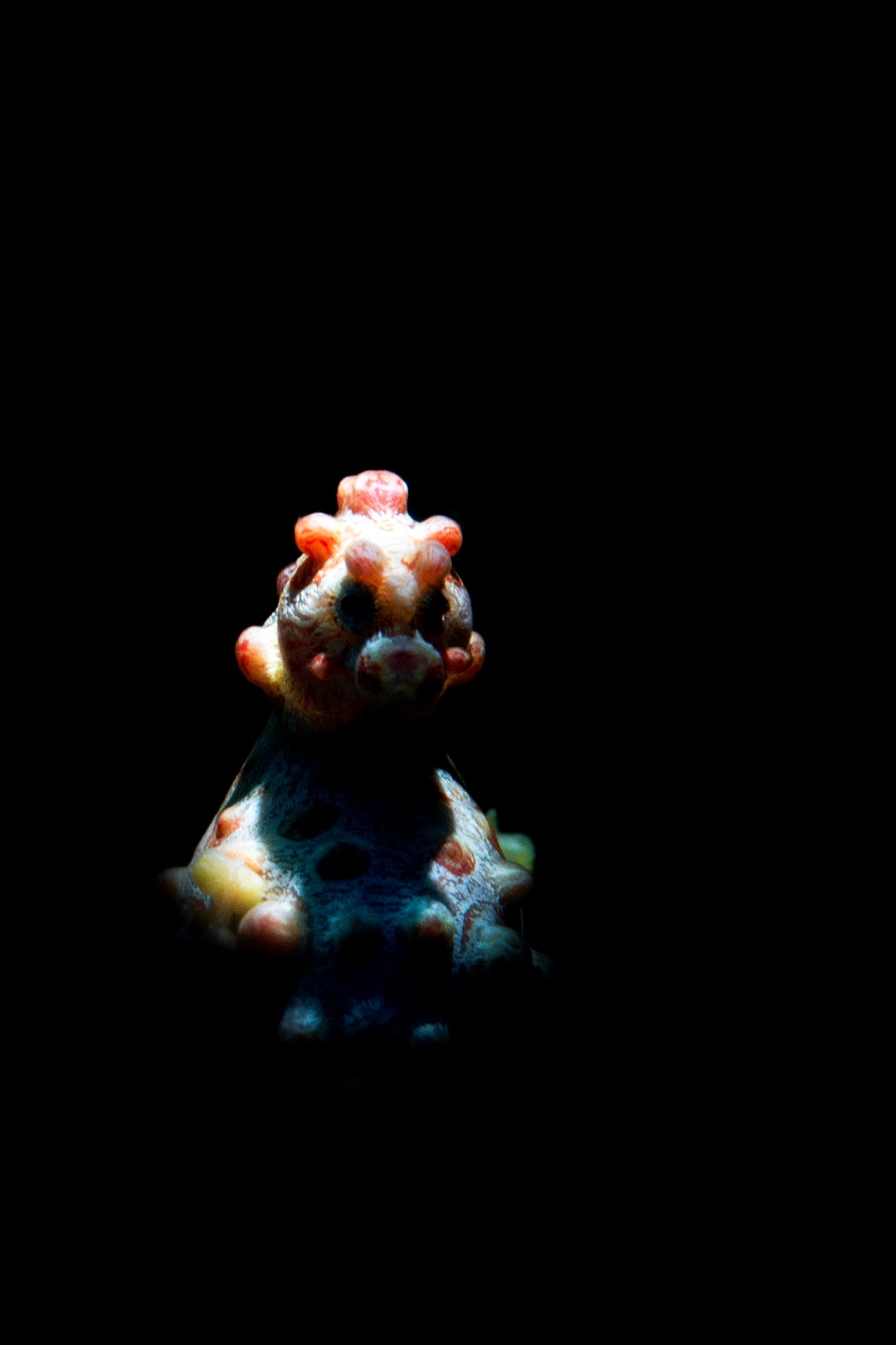 20181112_Japanese Wreck_0004 (Large)