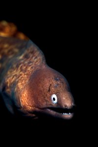 20181113_The Wall_0003 (Large)