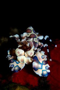 20181113_The Wall_0020 (Large)