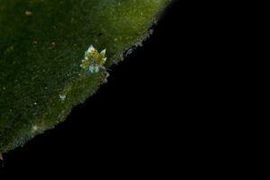 20181116_Amed Secret_0025 (Large)