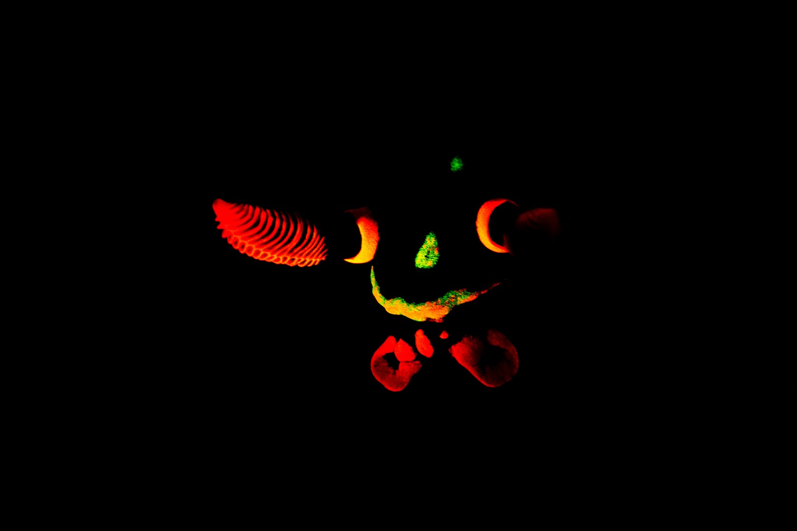 20181116_Jemuluk_0033 (Large)