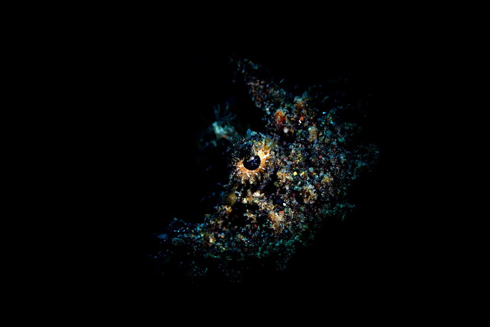 20181117_Amed Melasti_0038 (Large)