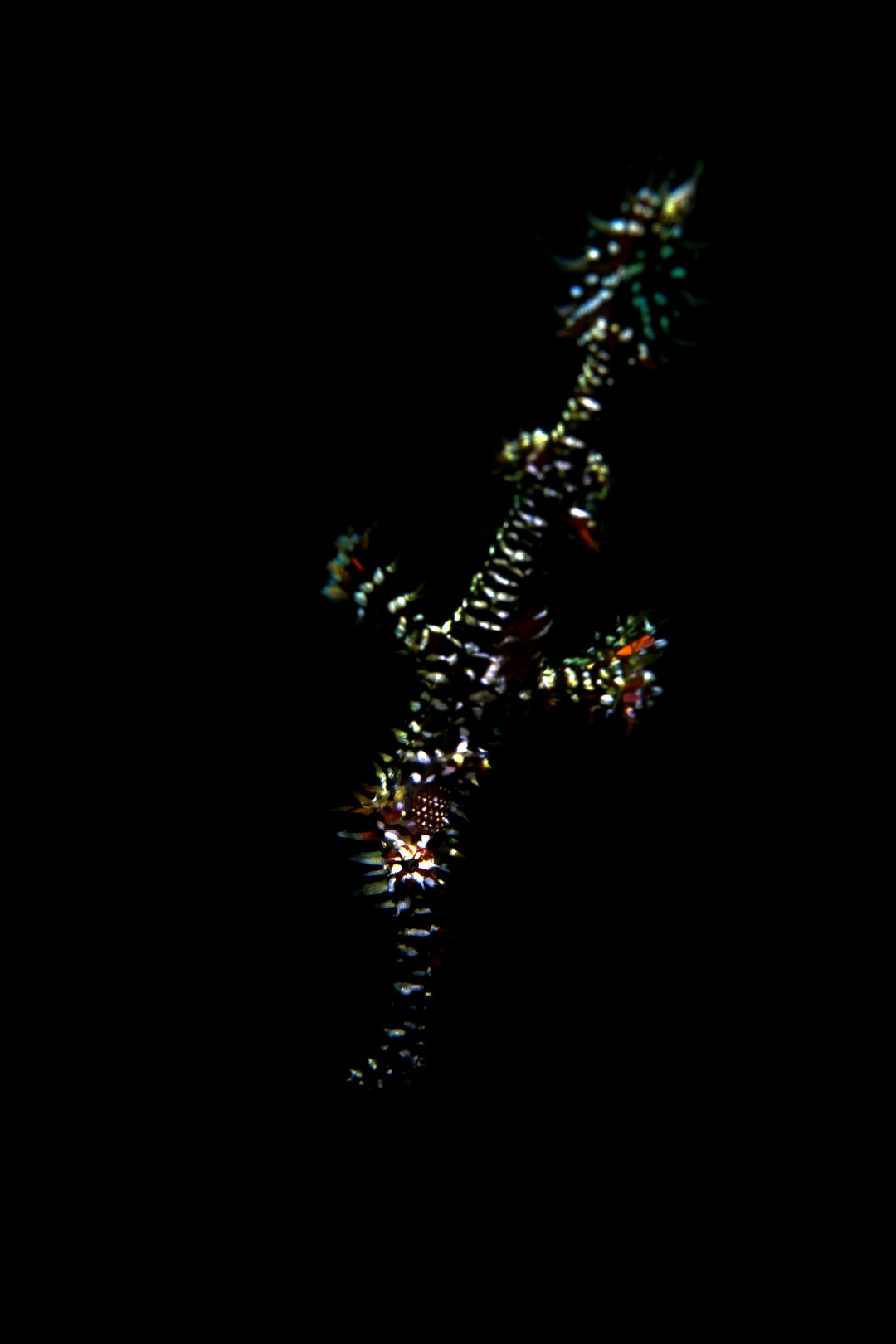 20181121_Obyek_0009 (Large)