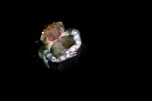 20181121_Obyek_0015 (Large)