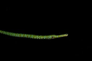 20190224_Port Hughes_0012 (Large)