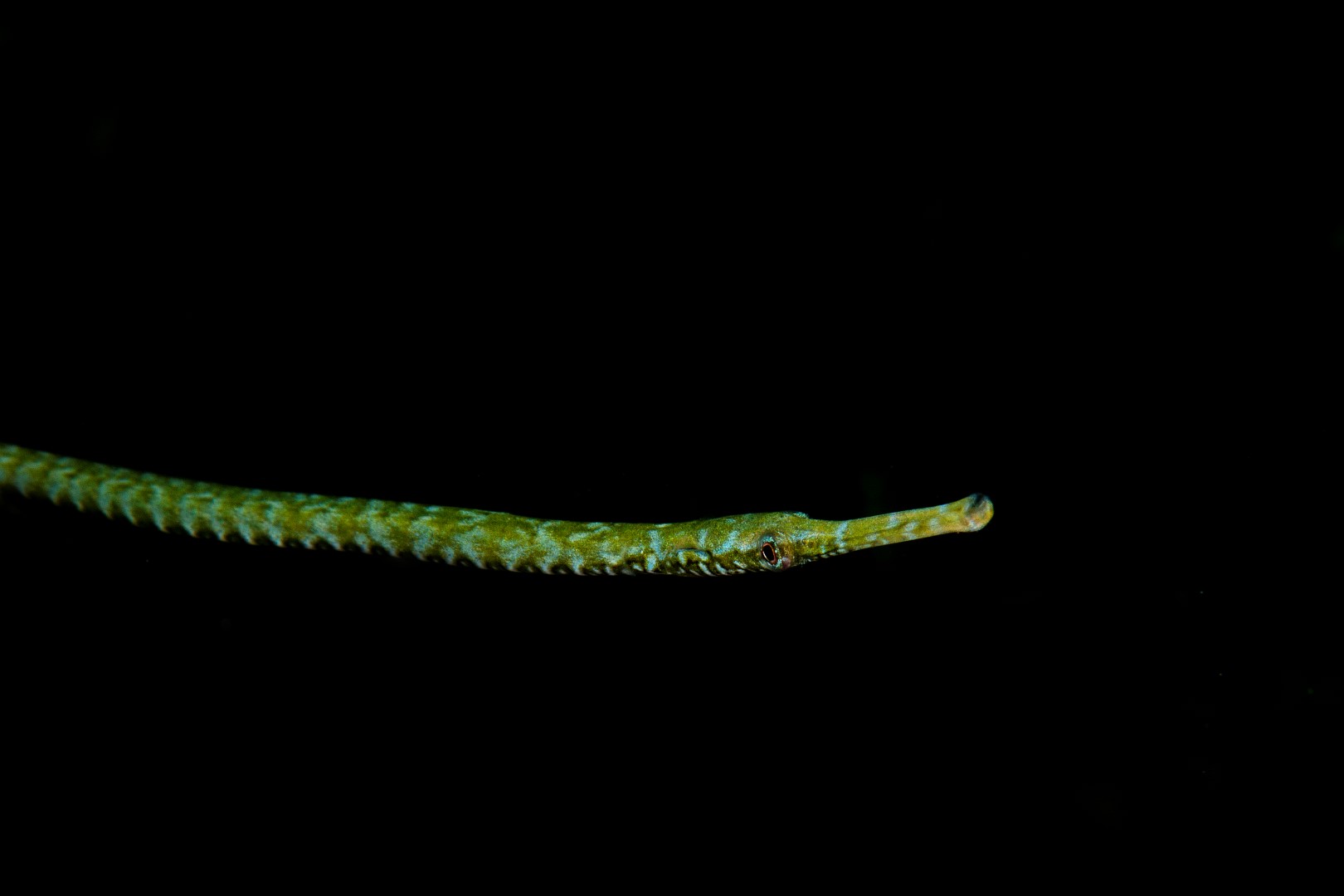 20190224_Port Hughes_0012 (Large)