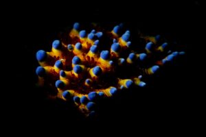 20190224_Port Hughes_0013 (Large)